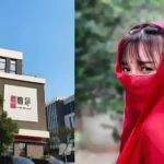 李子柒霸气回归！硬刚资本三年，归来已是行业巅峰！